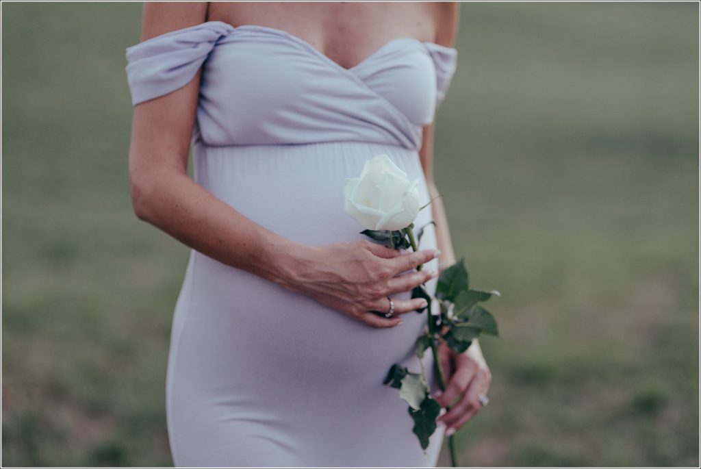Pregnant woman in lilac maternity dress in Urbana Villages field with a rose