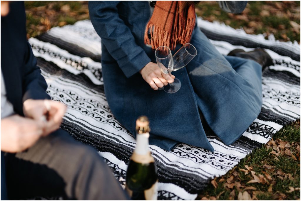 hand holds two champagne glasses sitting on a black and white blanket on grass