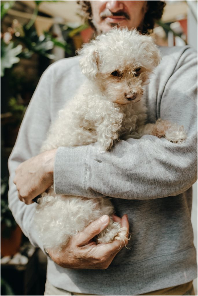 doggy held my man in grey sweatshirt