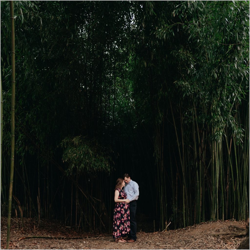 pregnant woman and man pose in front of a bamboo forest