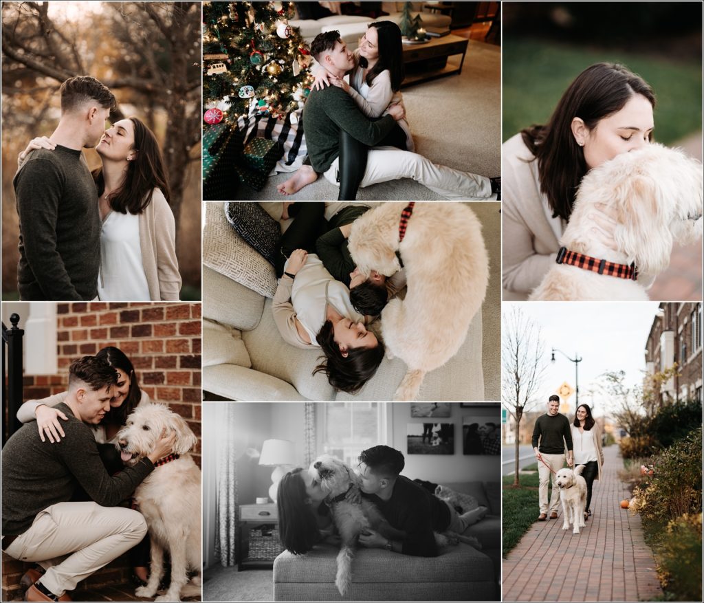 couples christmas photos with frederick maryland photographer and labradoodle in urbana maryland