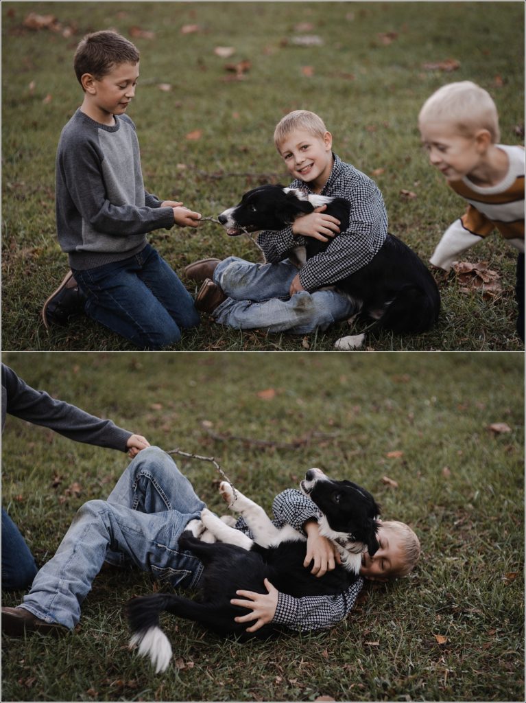 boys play with their dog on the grass for family photos at catoctin furnace