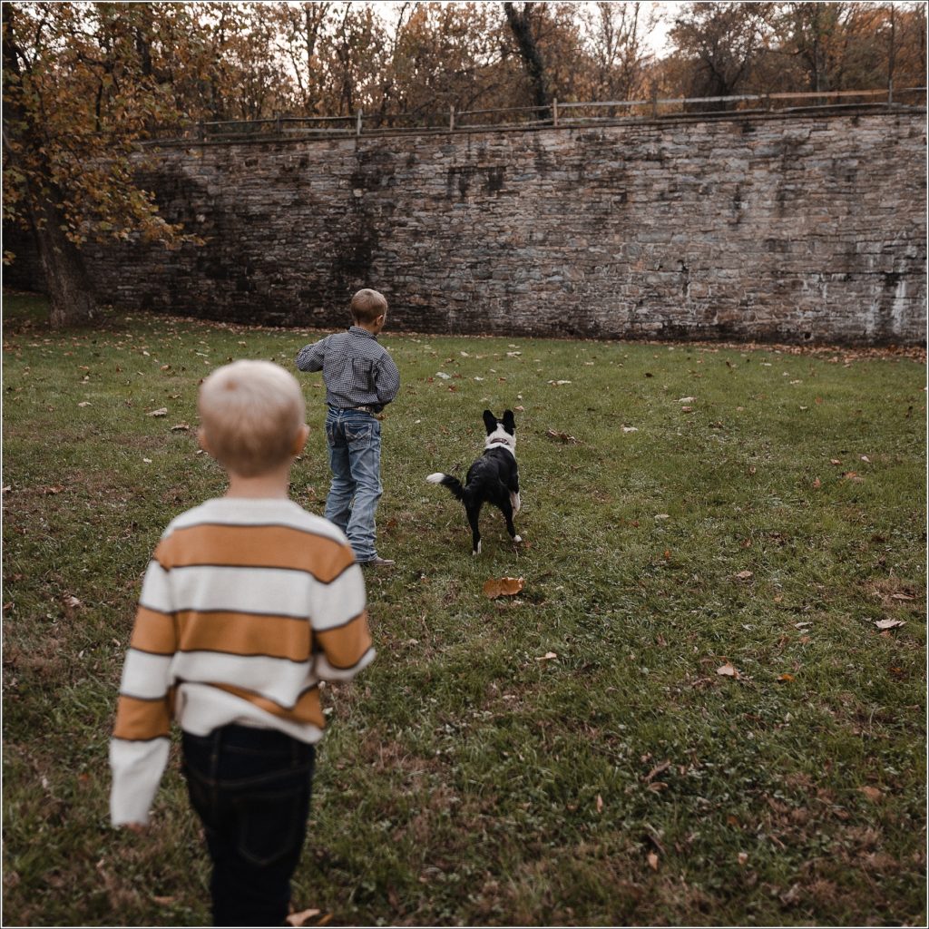 two boys play with their dog on the grass at catoctin furnace