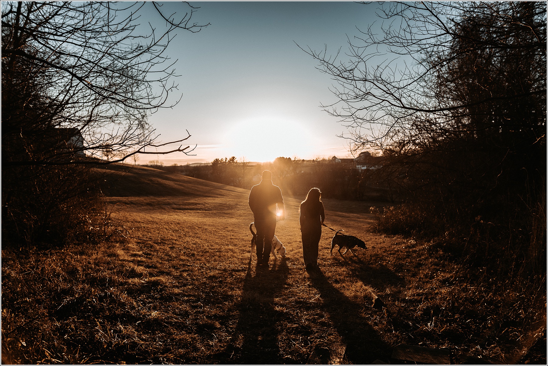 silhouette at sunset in frederick maryland couple with two dogs