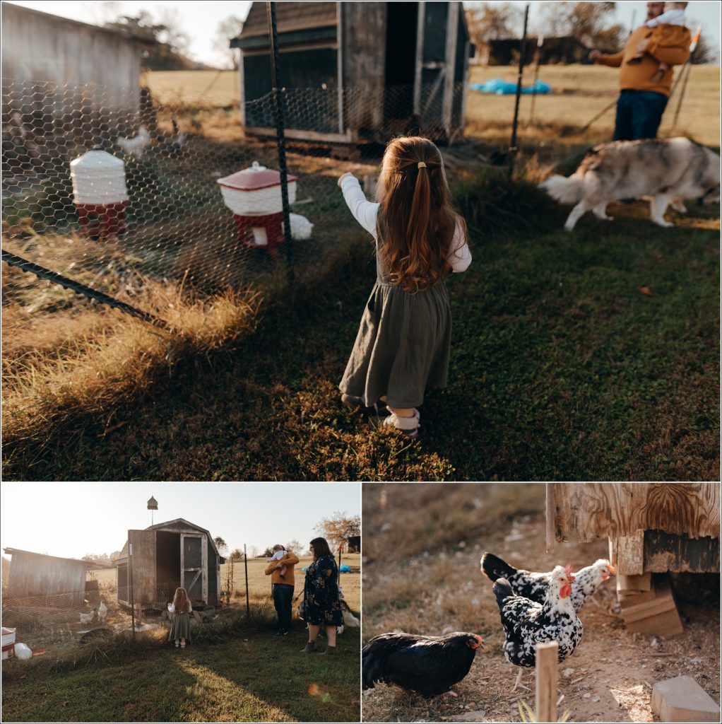 family looks into chicken coop in meadowview virginia for swva photography