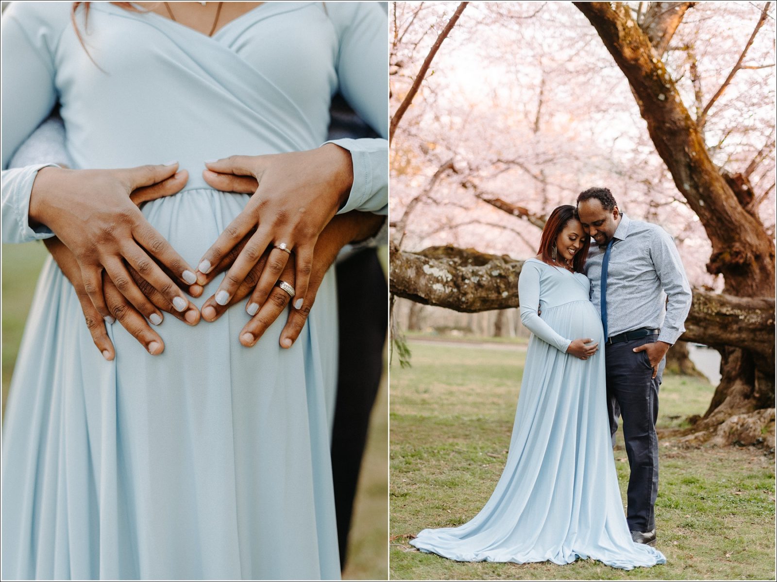 Kenwood Cherry Blossoms Maryland Maternity Photographer
