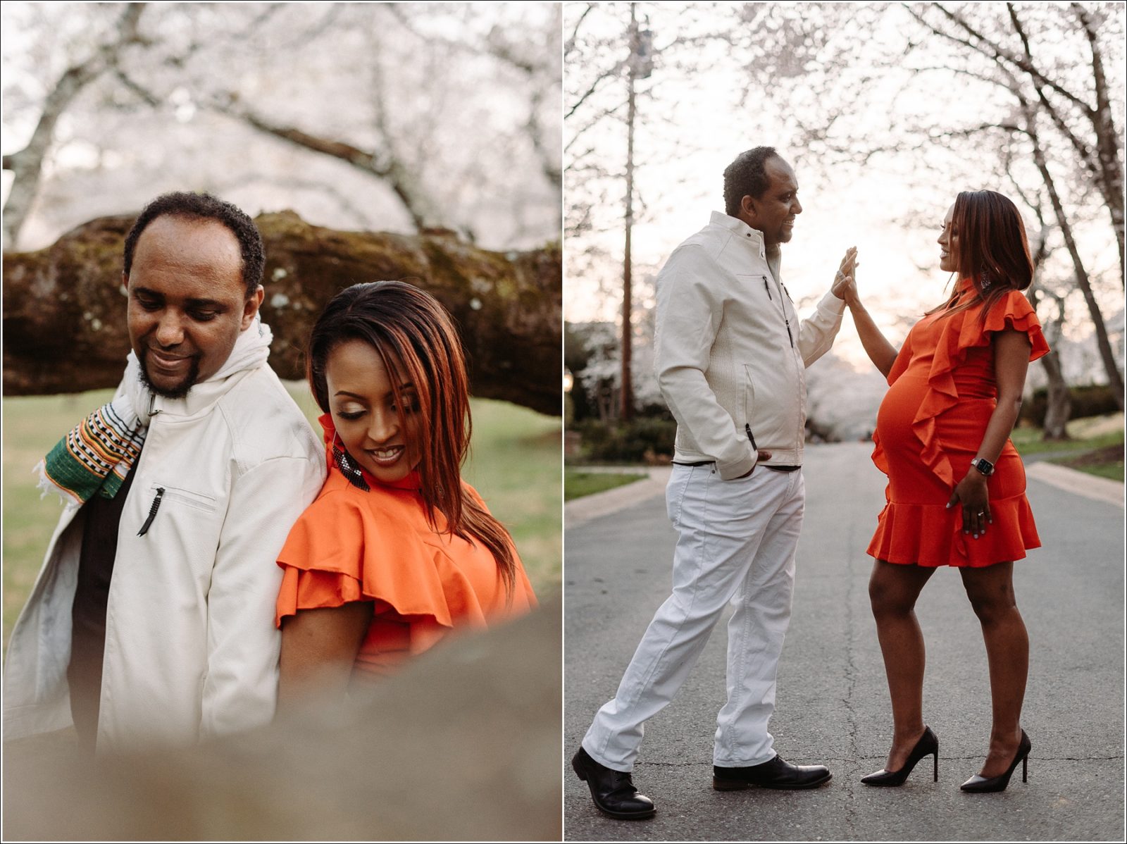 Kenwood Cherry Blossoms Maryland Maternity Photographer