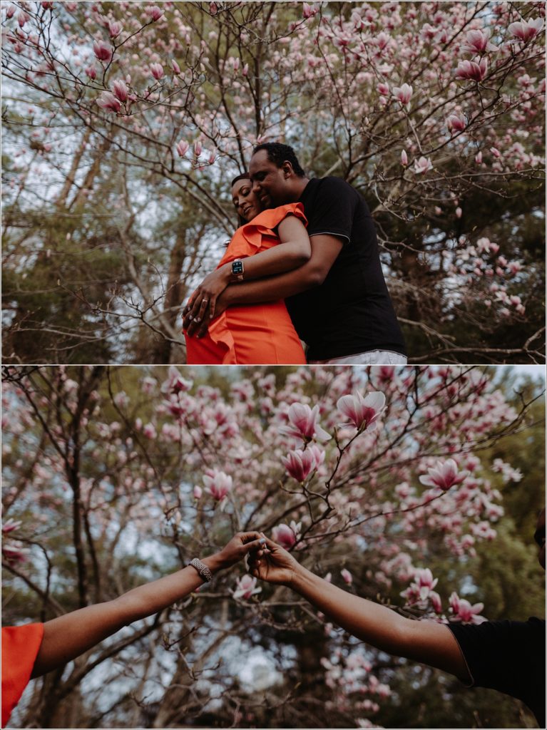 couple holds hands and pregnant belly in front of kenwood cherry blossoms in the evening