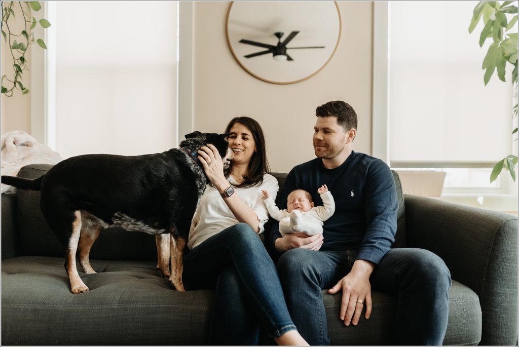 mom and dad wearing cream and navy blue sweaters sit on couch holding baby for in home newborn photography with dog