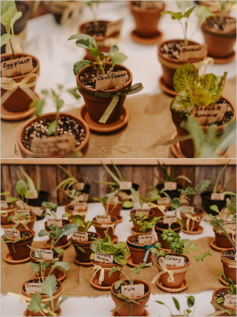 plant gifts with vegetable labels sit on a table for party favors at the barns at chip ridge
