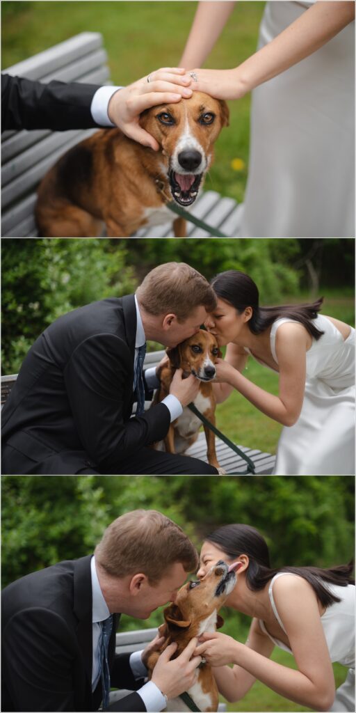 a bride and groom kiss their puppy in a park 