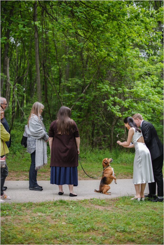 a wedding couple holds a treat for their dog as family members watch